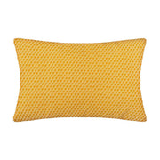 V8HD22AE6323409C1D592D6FDEC07437DFDR5157648P1